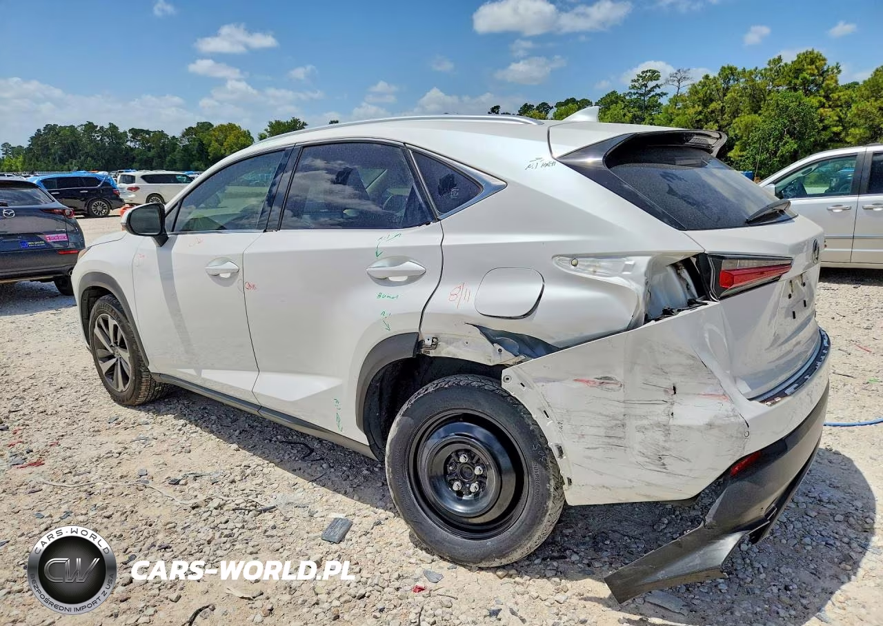 2020 Lexus Nx 300 VIN:JTJGARBZ8L2160533 - 2