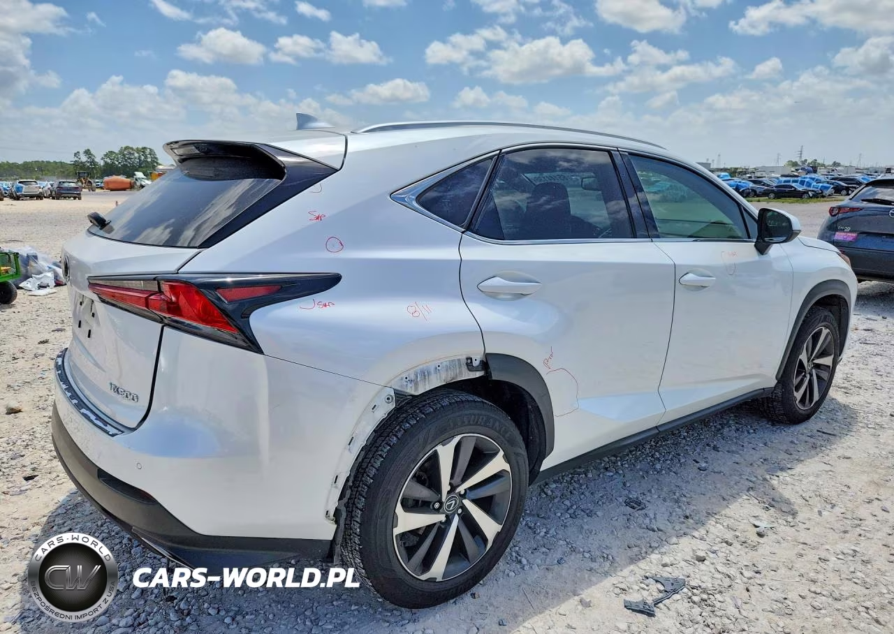 2020 Lexus Nx 300 VIN:JTJGARBZ8L2160533 - 3
