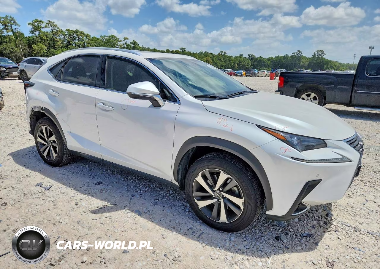 2020 Lexus Nx 300 VIN:JTJGARBZ8L2160533 - 4