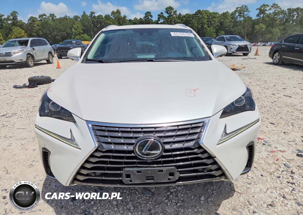 2020 Lexus Nx 300 VIN:JTJGARBZ8L2160533 - 5