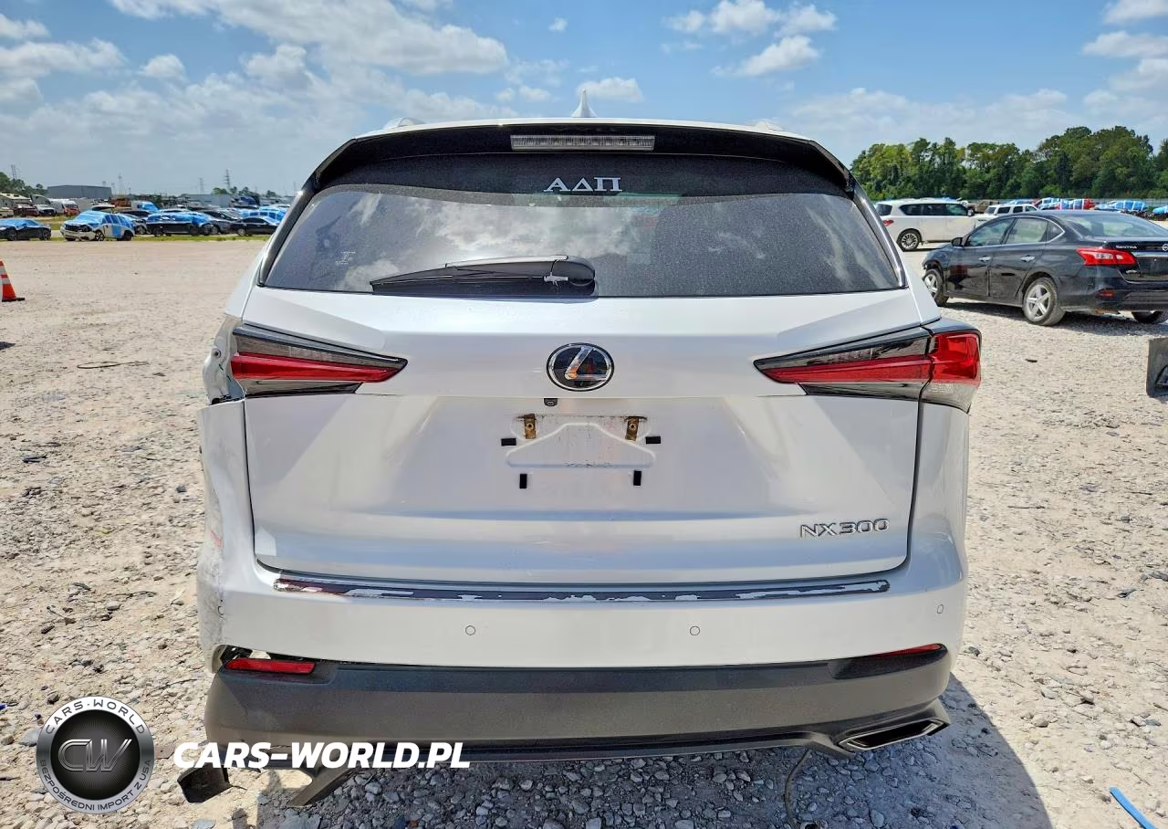 2020 Lexus Nx 300 VIN:JTJGARBZ8L2160533 - 6