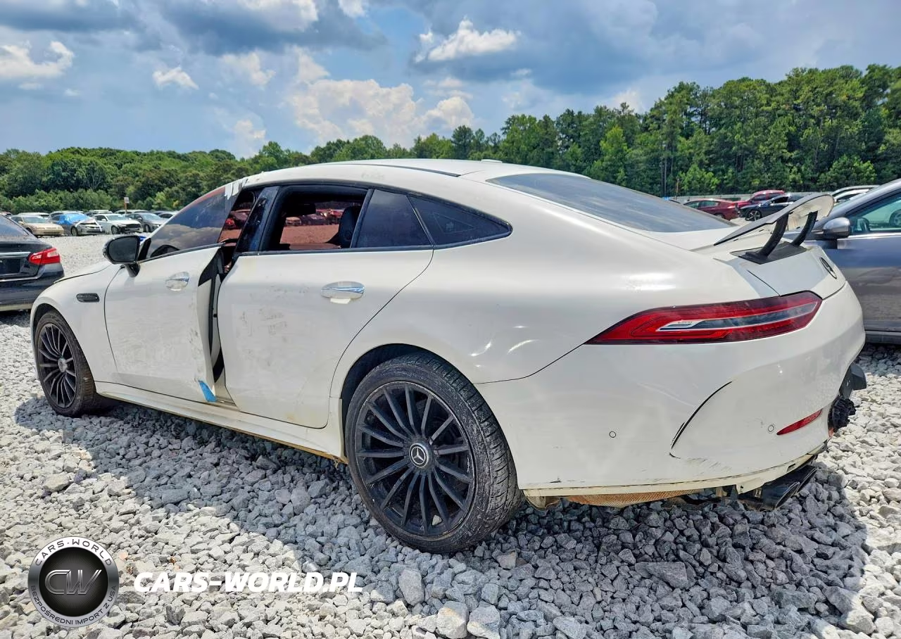 2020 Mercedes-Benz Amg Gt 53 VIN:WDD7X6BB2LA013204 - 2