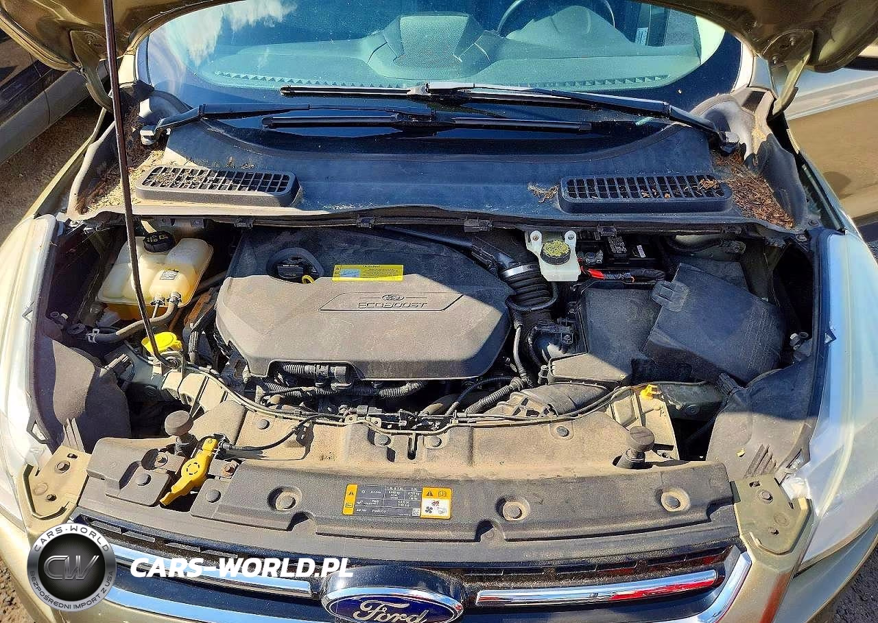 2013 Ford Escape Sel VIN:1FMCU9HX1DUD46706 - 12