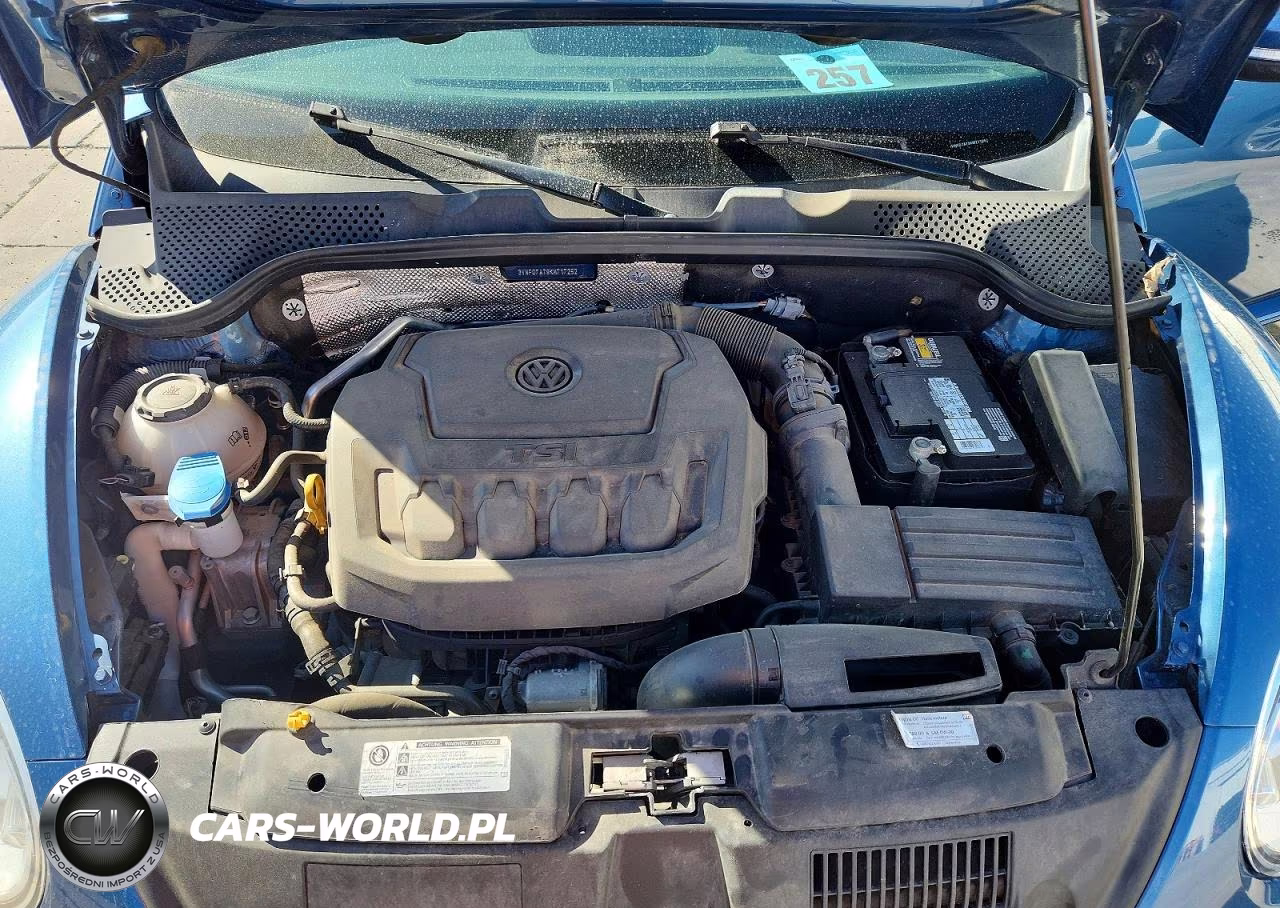 2019 Volkswagen Beetle S VIN:3VWFD7AT9KM717252 - 11