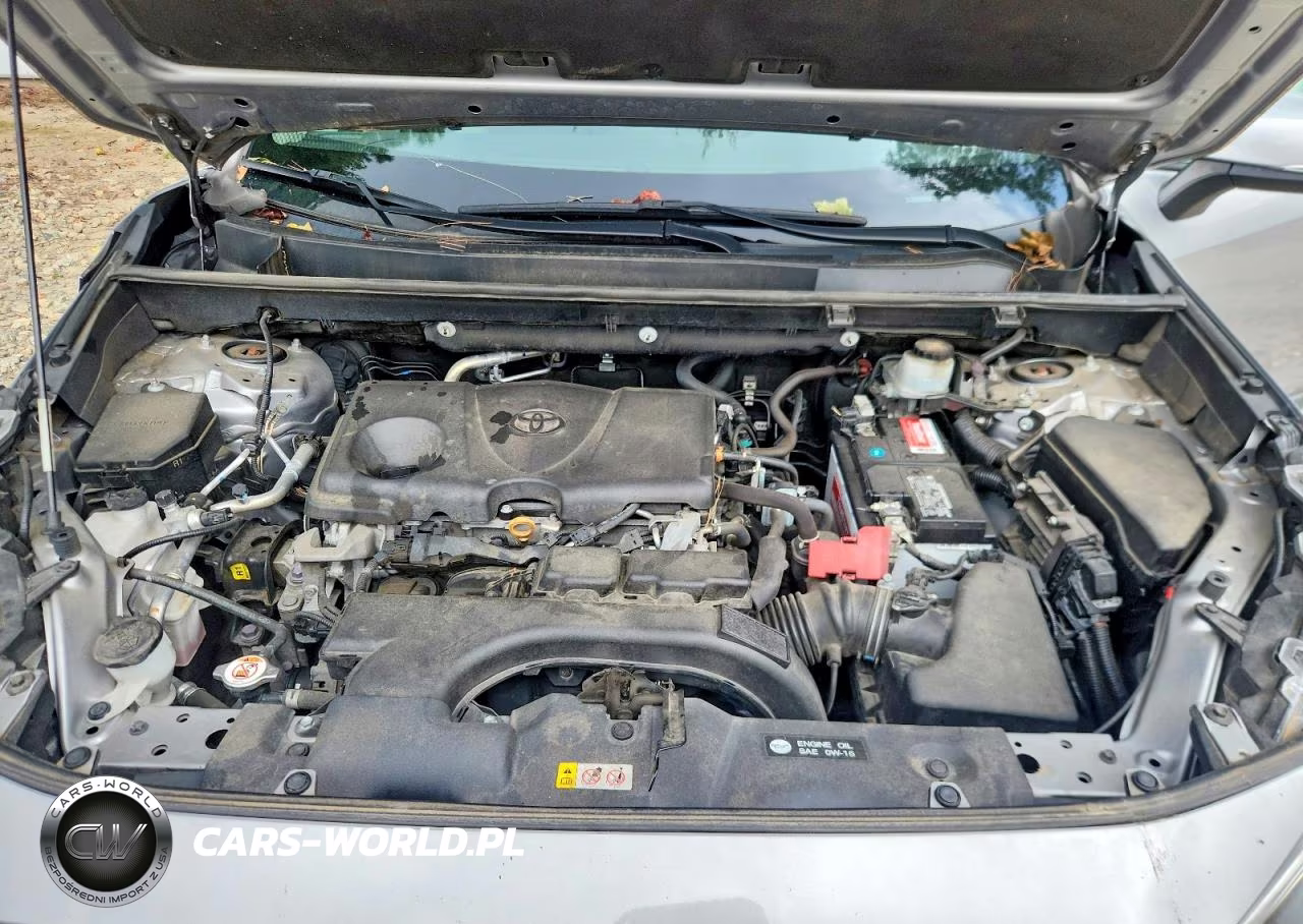 2020 Toyota Rav4 Xle VIN:2T3P1RFV9LC100490 - 11