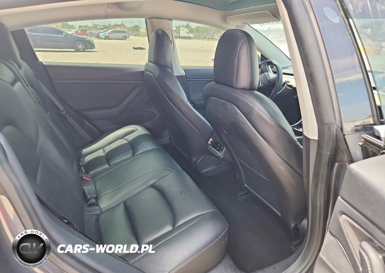 2020 Tesla Model 3 VIN:5YJ3E1EBXLF650913 - 10