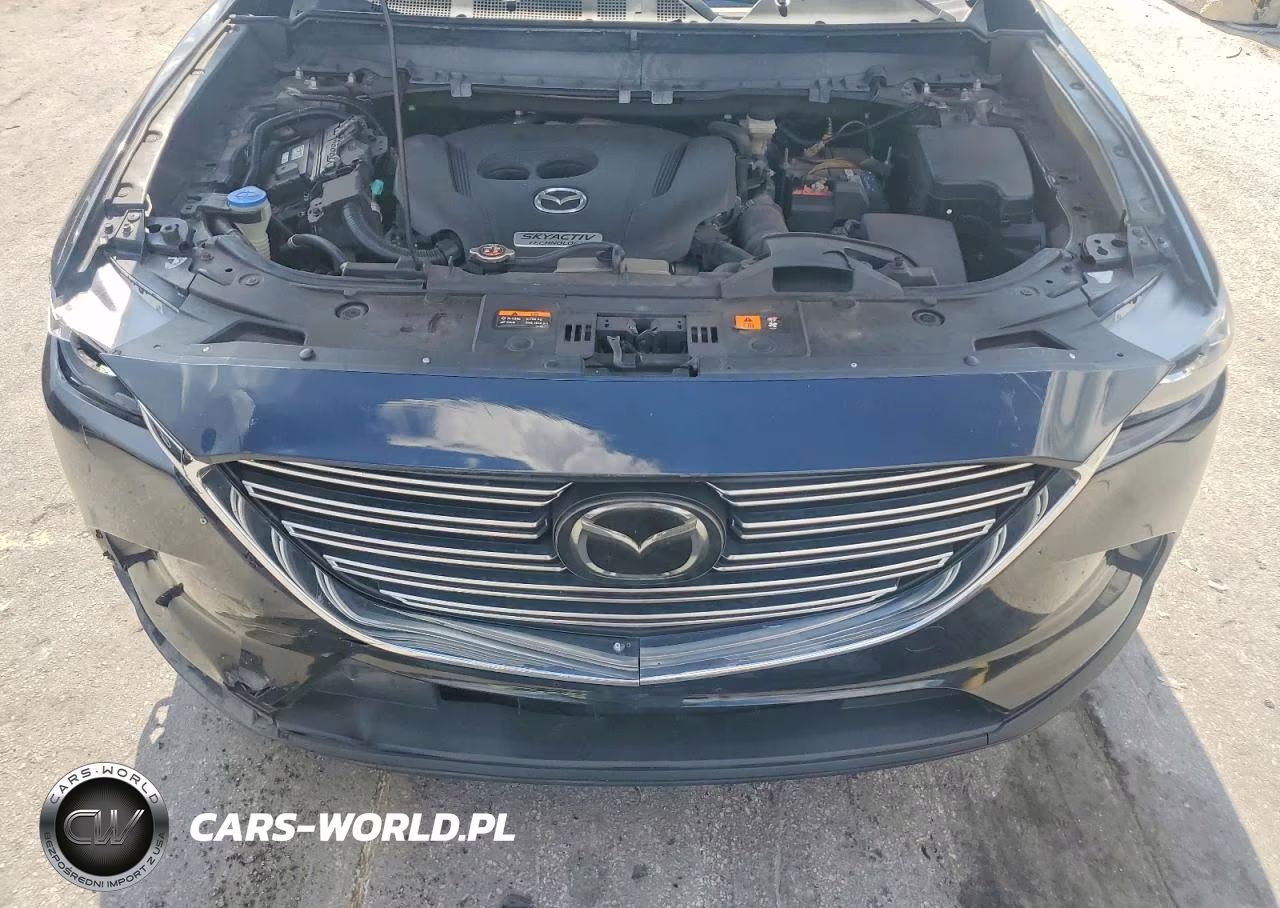 2019 Mazda Cx-9 Touring VIN:JM3TCBCY0K0315151 - 12
