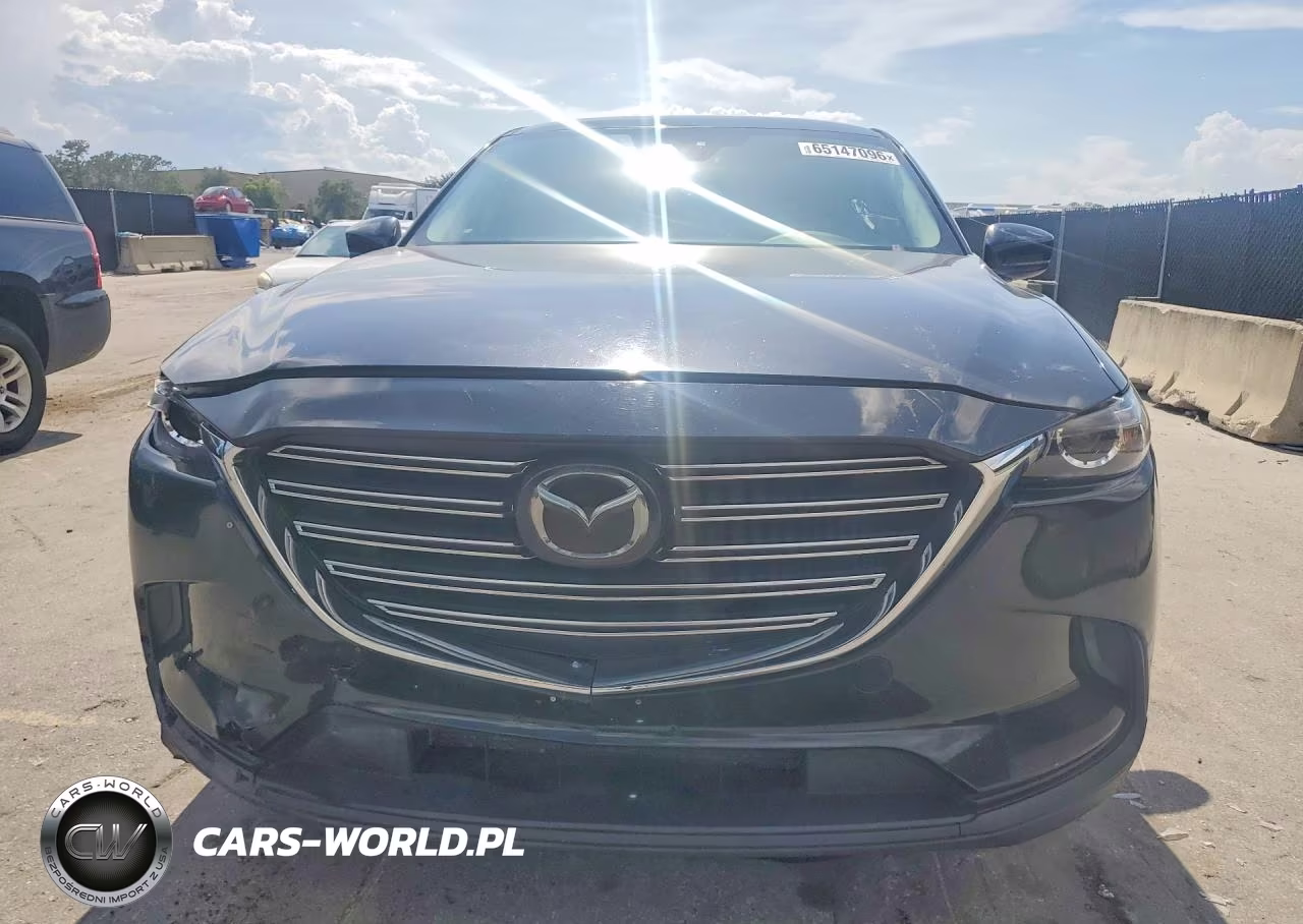 2019 Mazda Cx-9 Touring VIN:JM3TCBCY0K0315151 - 5