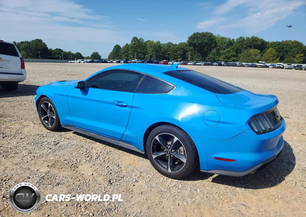 2022 Ford Mustang VIN:1FA6P8TH2N5108867 - 2