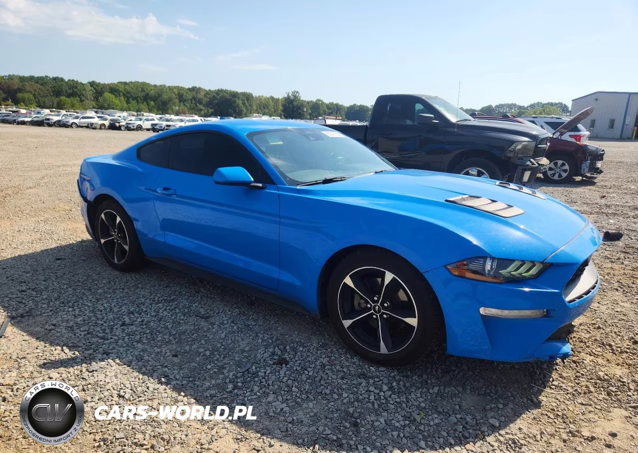 2022 Ford Mustang VIN:1FA6P8TH2N5108867 - 4