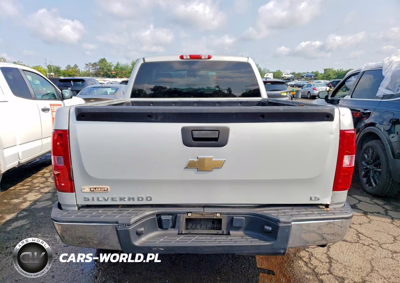 2011 Chevrolet Silverado C1500 VIN:1GCRCPEX7BZ413867 - 6