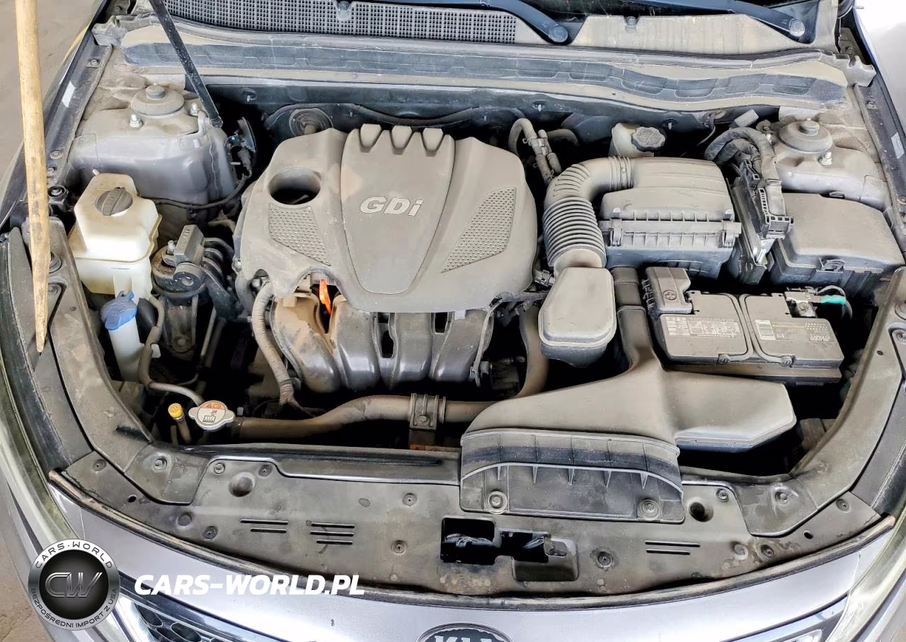 2014 Kia Optima Lx VIN:5XXGM4A79EG263289 - 11
