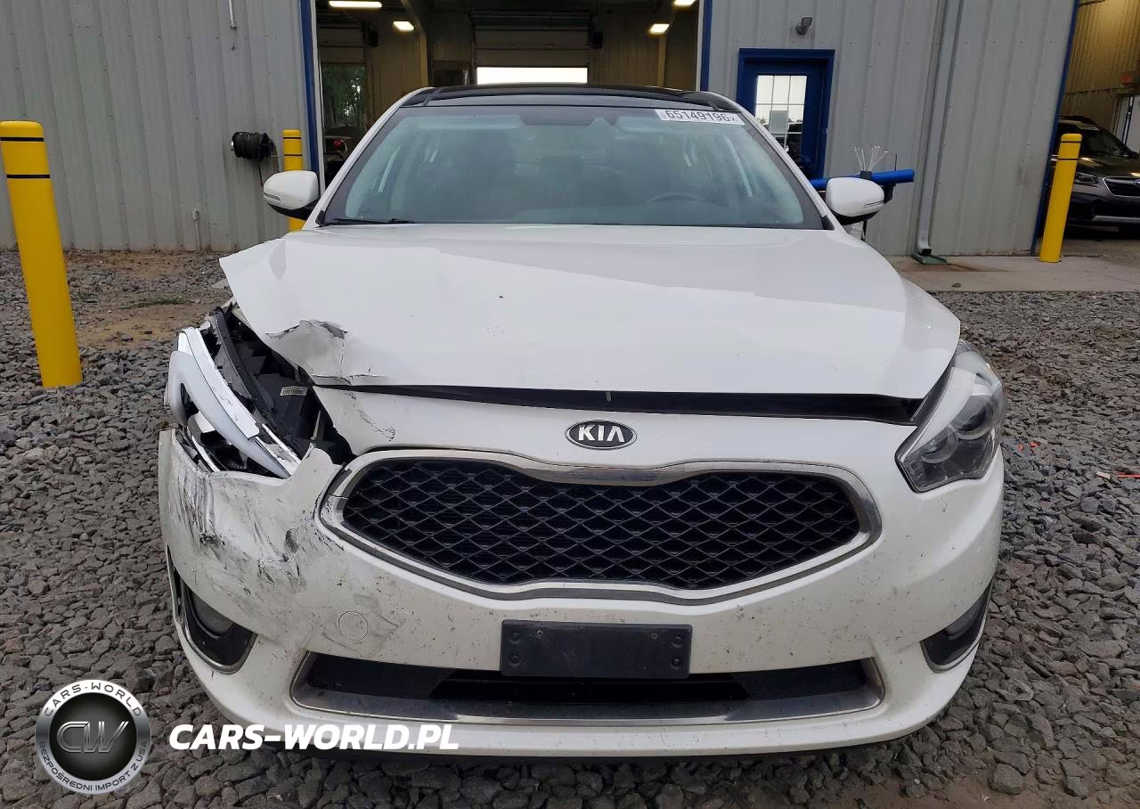 2015 Kia Cadenza Premium VIN:KNALN4D74F5176720 - 5