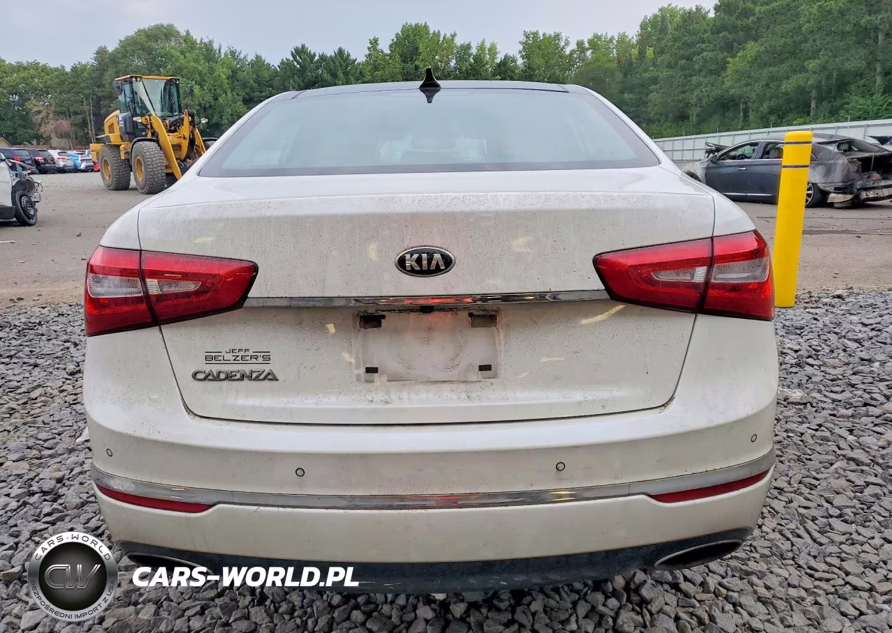 2015 Kia Cadenza Premium VIN:KNALN4D74F5176720 - 6