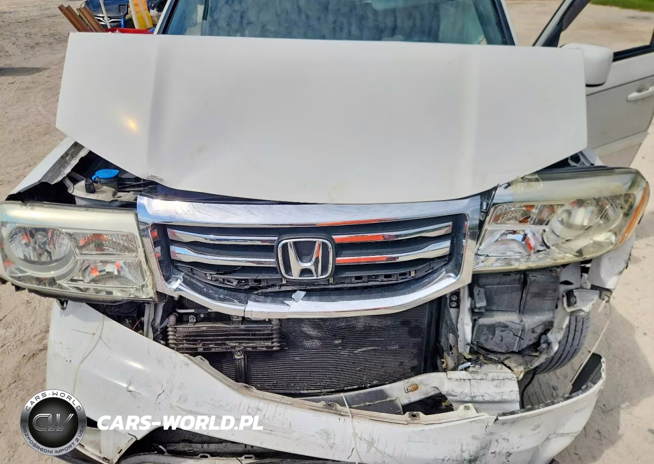2015 Honda Pilot Exl VIN:5FNYF4H51FB063787 - 12