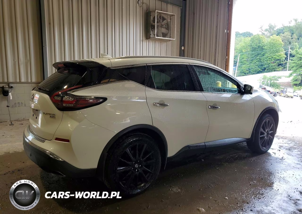 2019 Nissan Murano Platinum VIN:5N1AZ2MS4KN143200 - 3