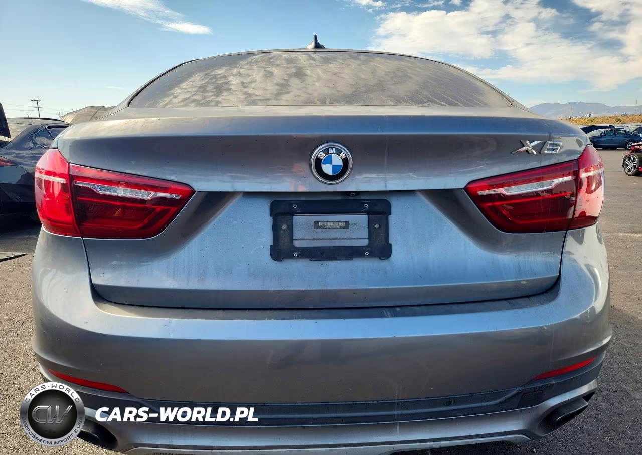 2016 BMW X6 xDrive50I VIN:5UXKU6C50G0R34188 - 6