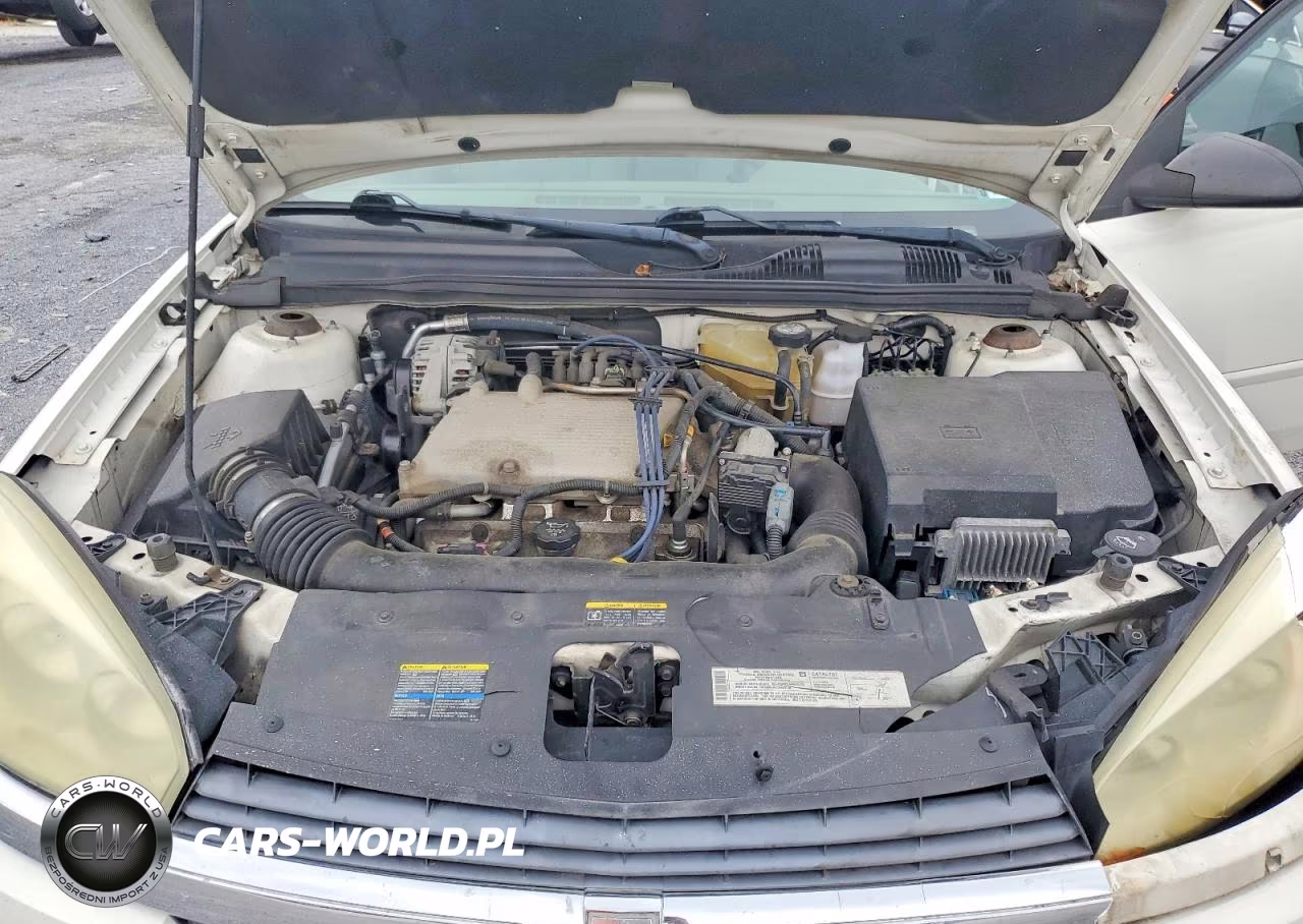 2004 Chevrolet Malibu Maxx Ls VIN:1G1ZT62834F226615 - 11