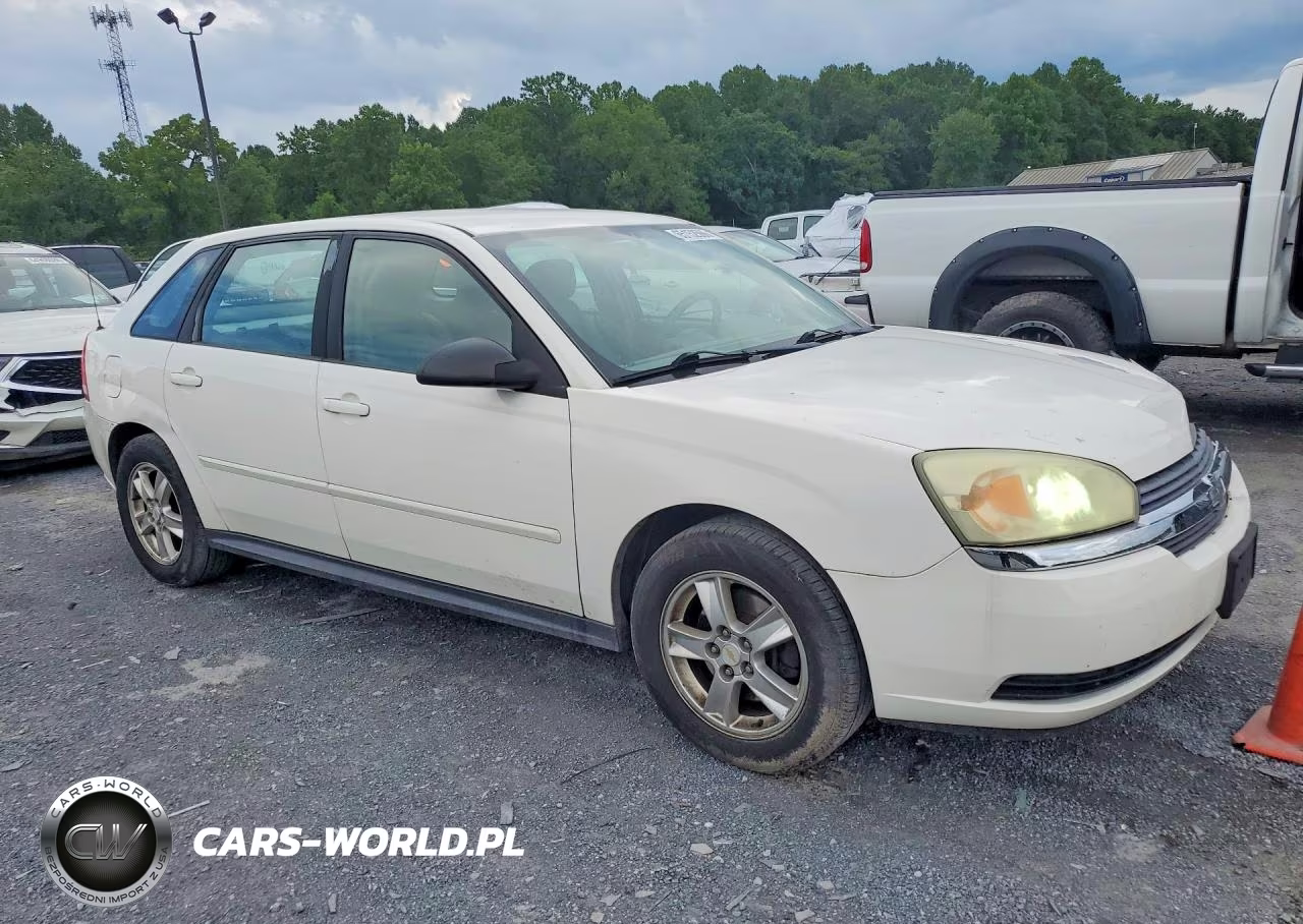 2004 Chevrolet Malibu Maxx Ls VIN:1G1ZT62834F226615 - 4