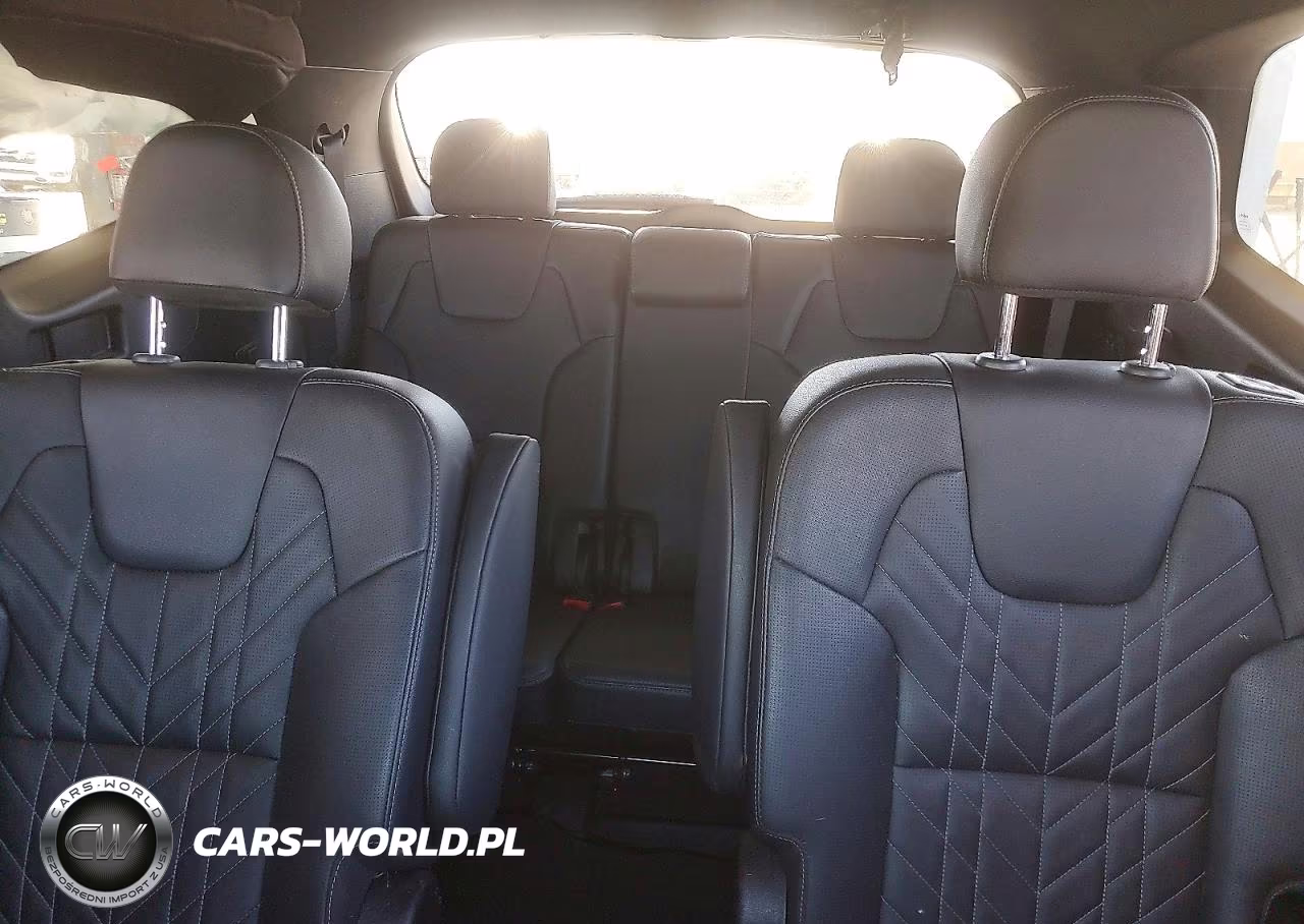 2024 Kia Telluride Ex VIN:5XYP3DGC8RG512934 - 10