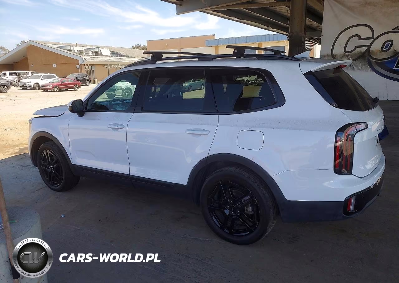 2024 Kia Telluride Ex VIN:5XYP3DGC8RG512934 - 2