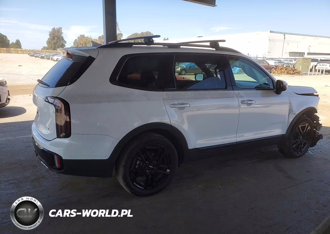 2024 Kia Telluride Ex VIN:5XYP3DGC8RG512934 - 3