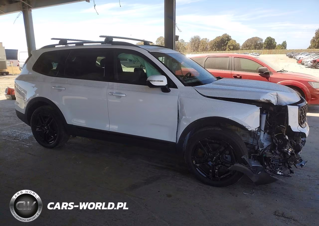 2024 Kia Telluride Ex VIN:5XYP3DGC8RG512934 - 4