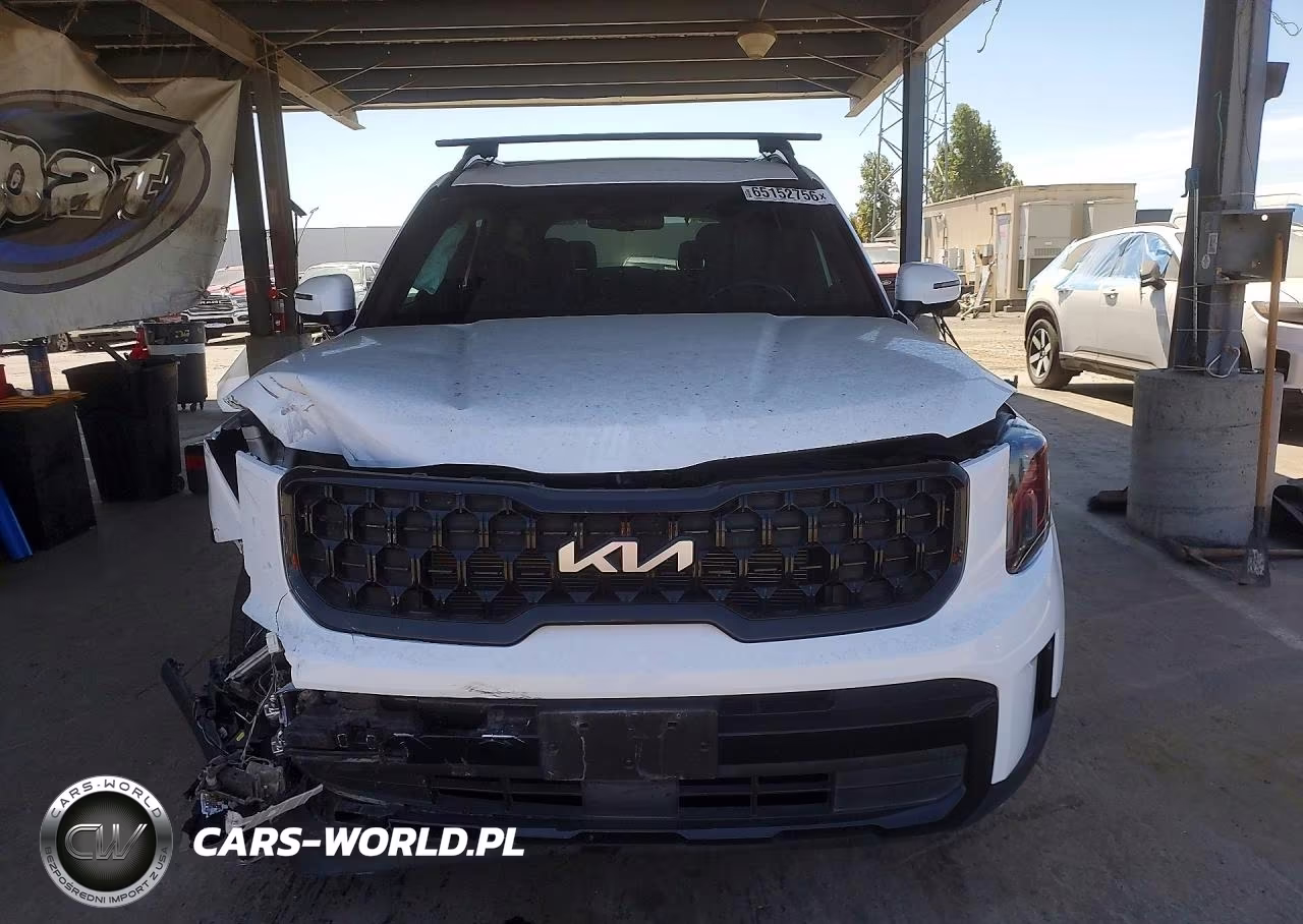2024 Kia Telluride Ex VIN:5XYP3DGC8RG512934 - 5
