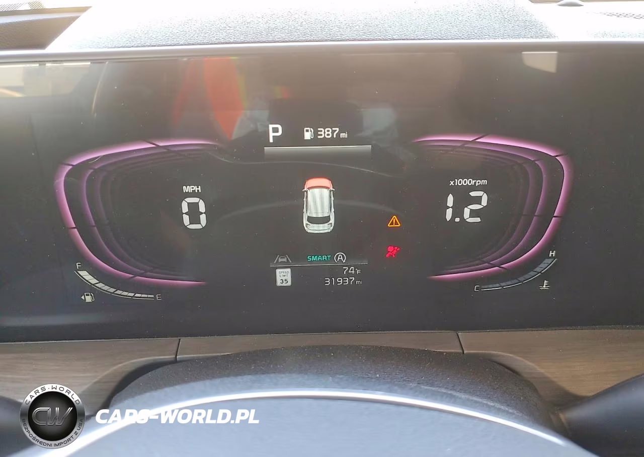 2024 Kia Telluride Ex VIN:5XYP3DGC8RG512934 - 9