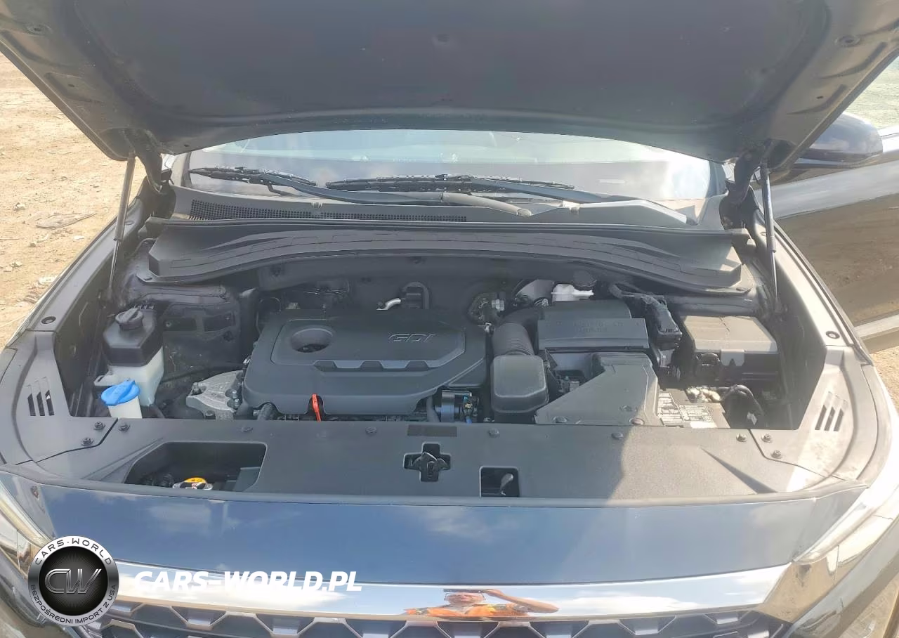 2019 Hyundai Santa Fe Sel 2.4L VIN:5NMS3CAD3KH136077 - 12