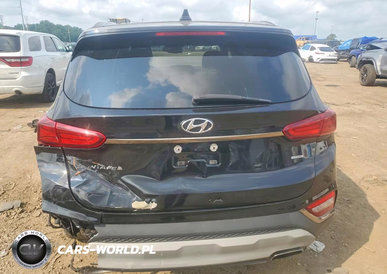 2019 Hyundai Santa Fe Sel 2.4L VIN:5NMS3CAD3KH136077 - 6