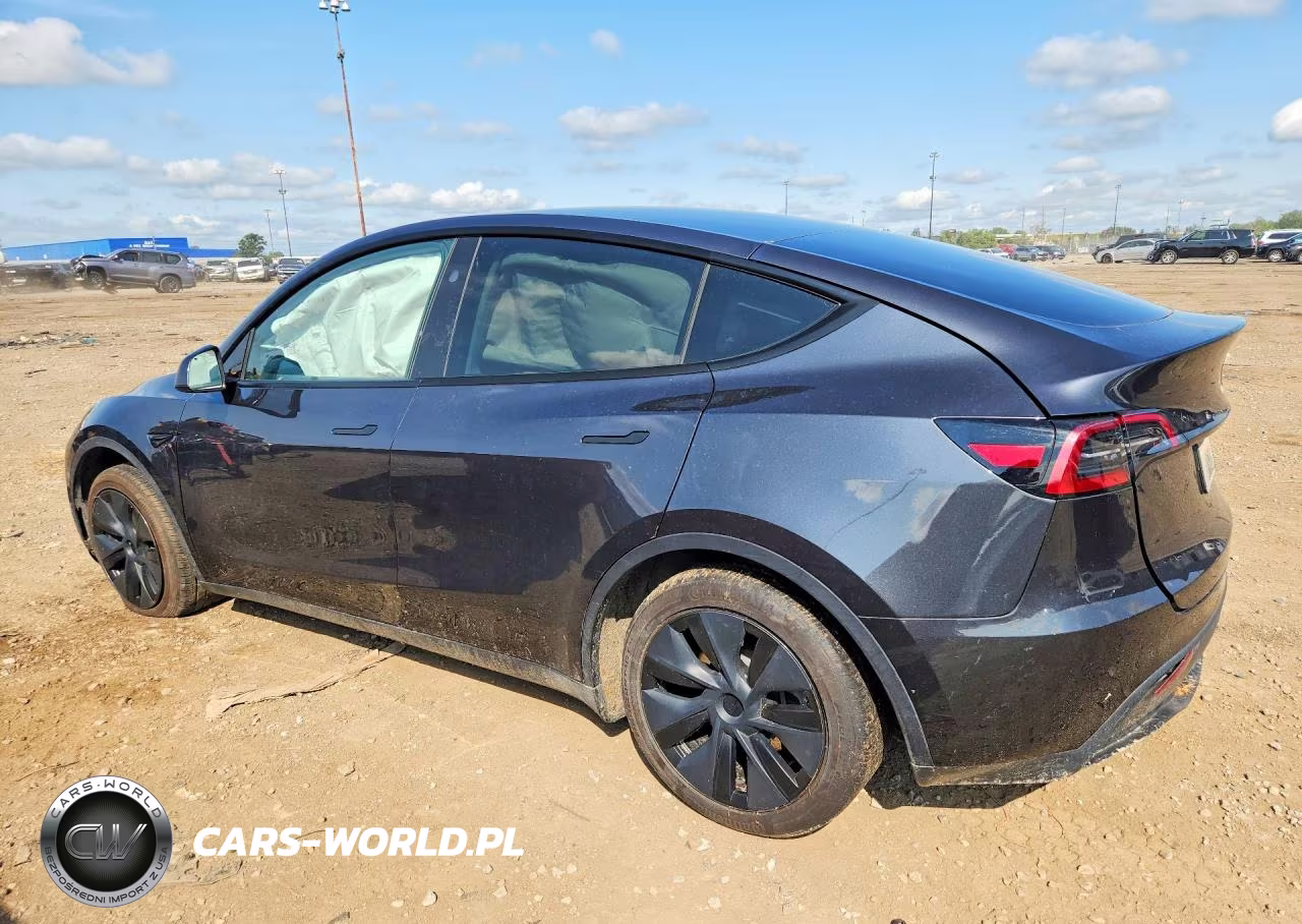 2025 Tesla Model Y VIN:7SAYGDED8SA378184 - 2