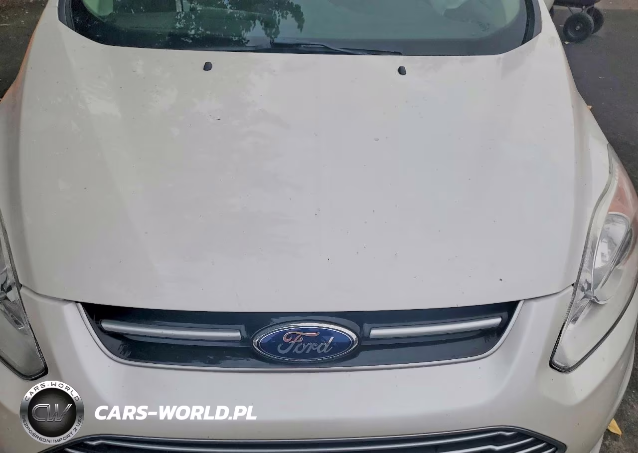 2014 Ford C-Max Se VIN:1FADP5AU1EL505052 - 11