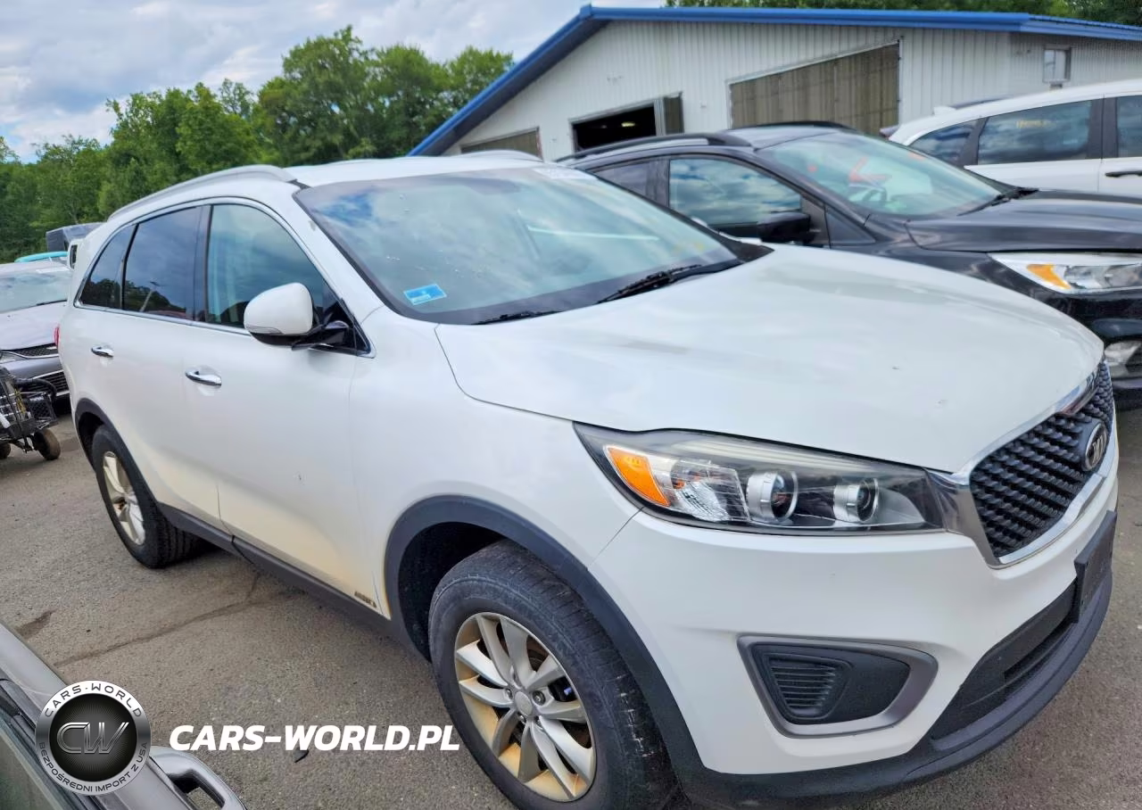 2016 Kia Sorento Lx VIN:5XYPGDA38GG087337 - 4