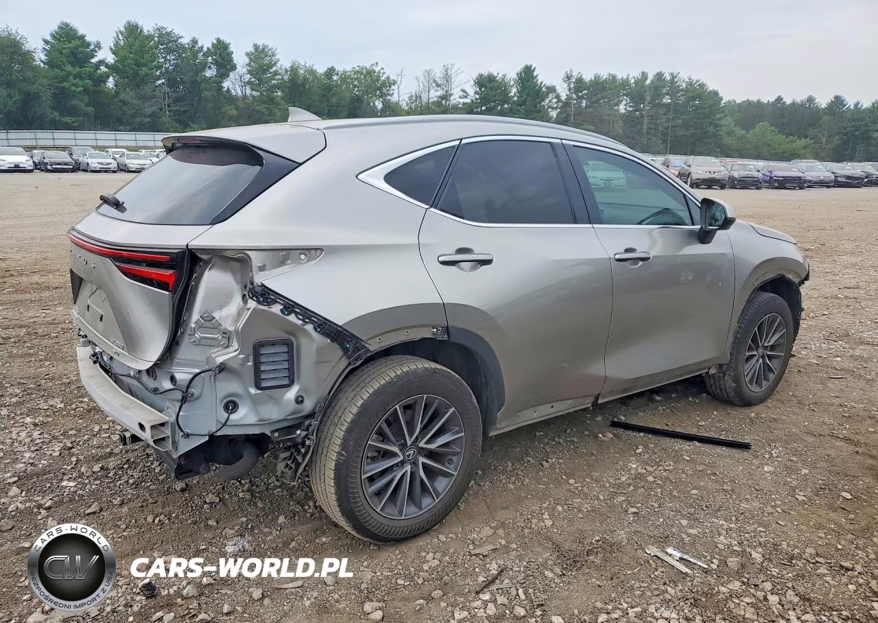 2024 Lexus Nx 350 Premium VIN:2T2GGCEZ1RC043764 - 3