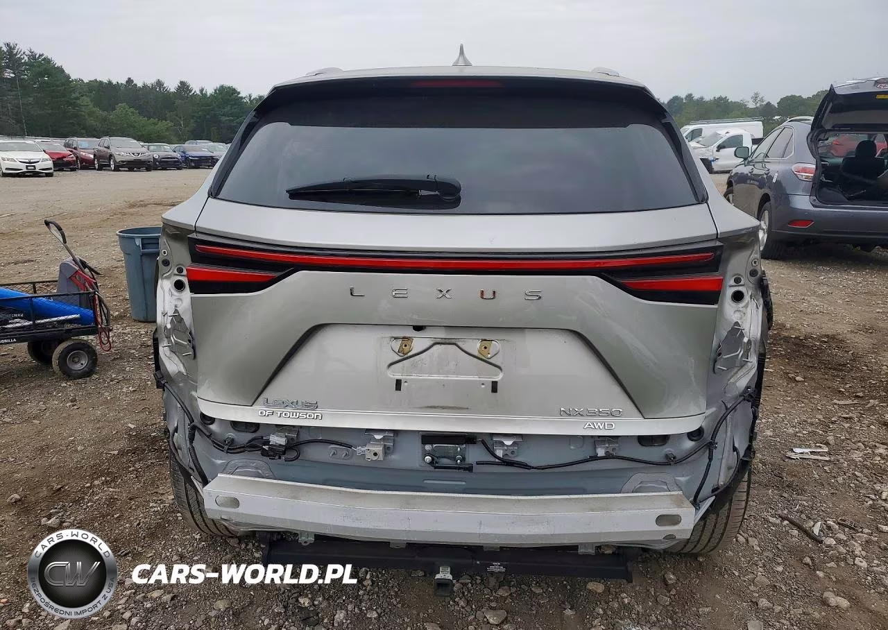 2024 Lexus Nx 350 Premium VIN:2T2GGCEZ1RC043764 - 6