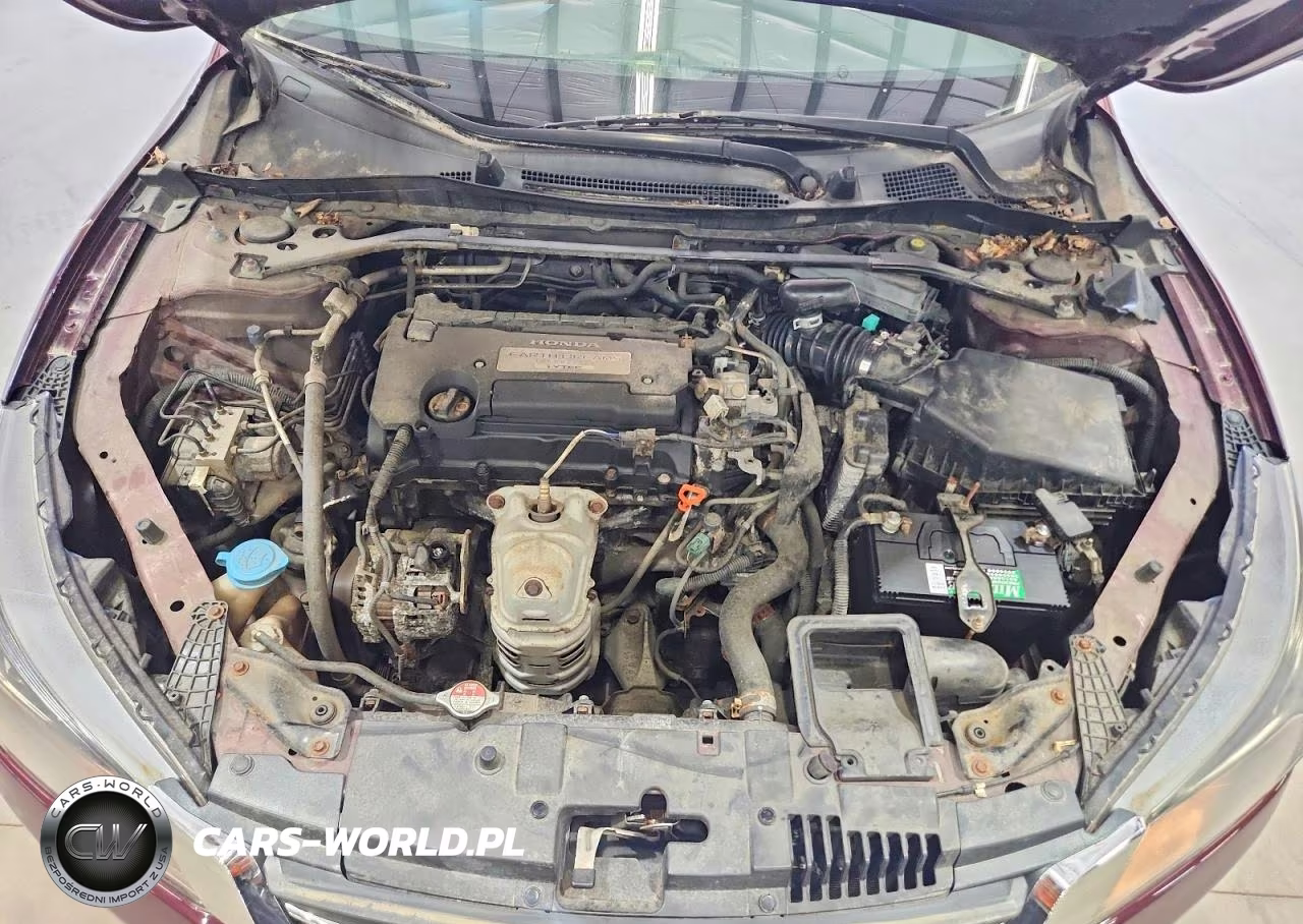2013 Honda Accord Exl VIN:1HGCR2F8XDA137721 - 11