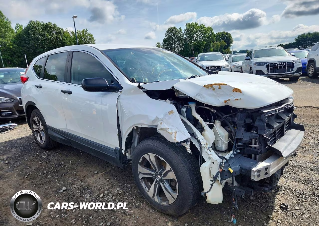 2019 Honda Cr-V Lx VIN:2HKRW5H33KH404076 - 4