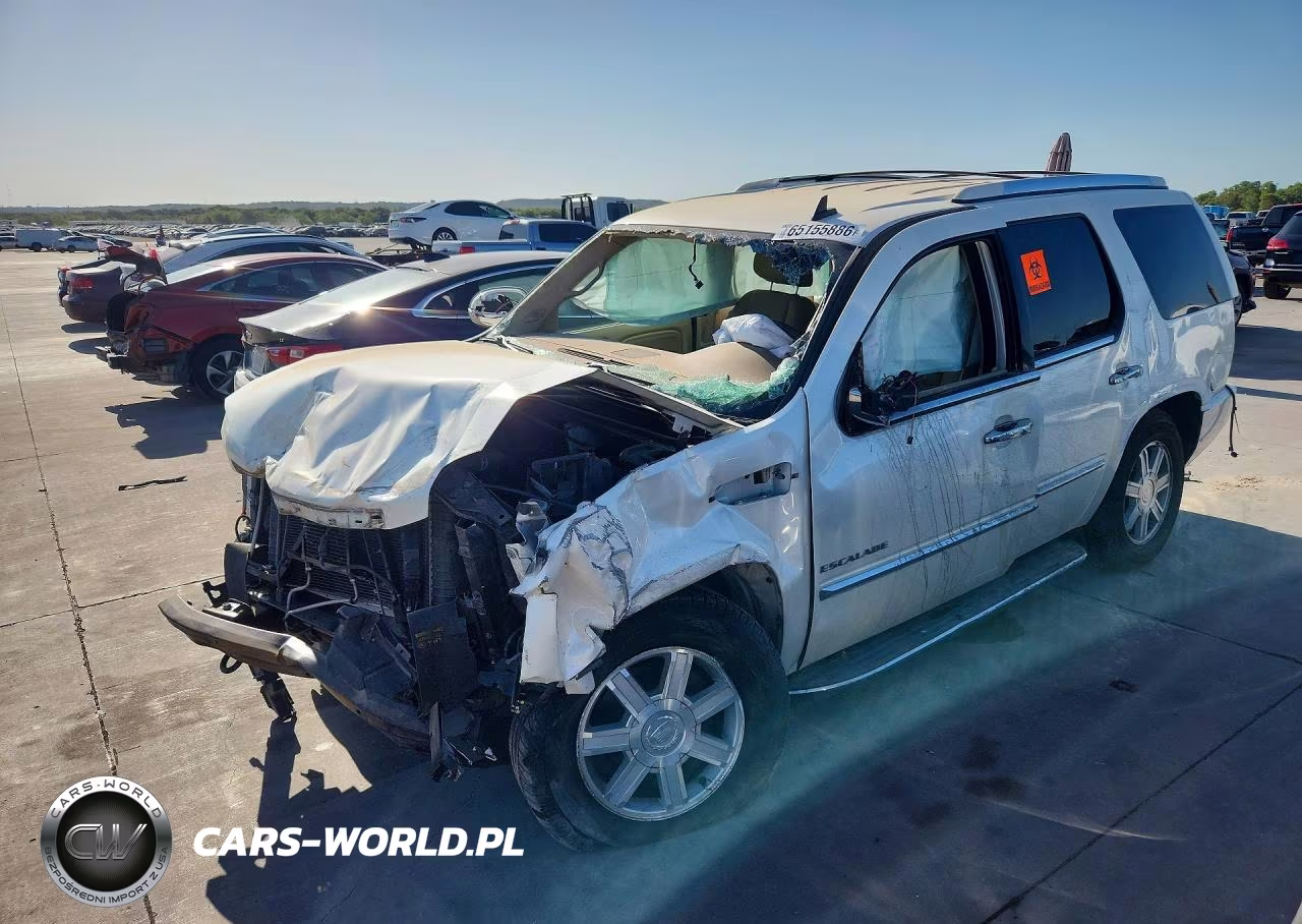 2010 Cadillac Escalade VIN:1GYUCAEFXAR145453 - 1