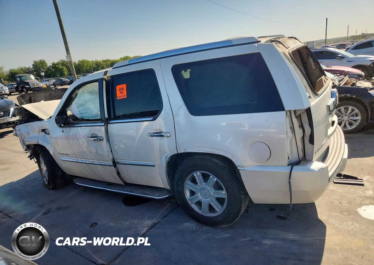 2010 Cadillac Escalade VIN:1GYUCAEFXAR145453 - 2