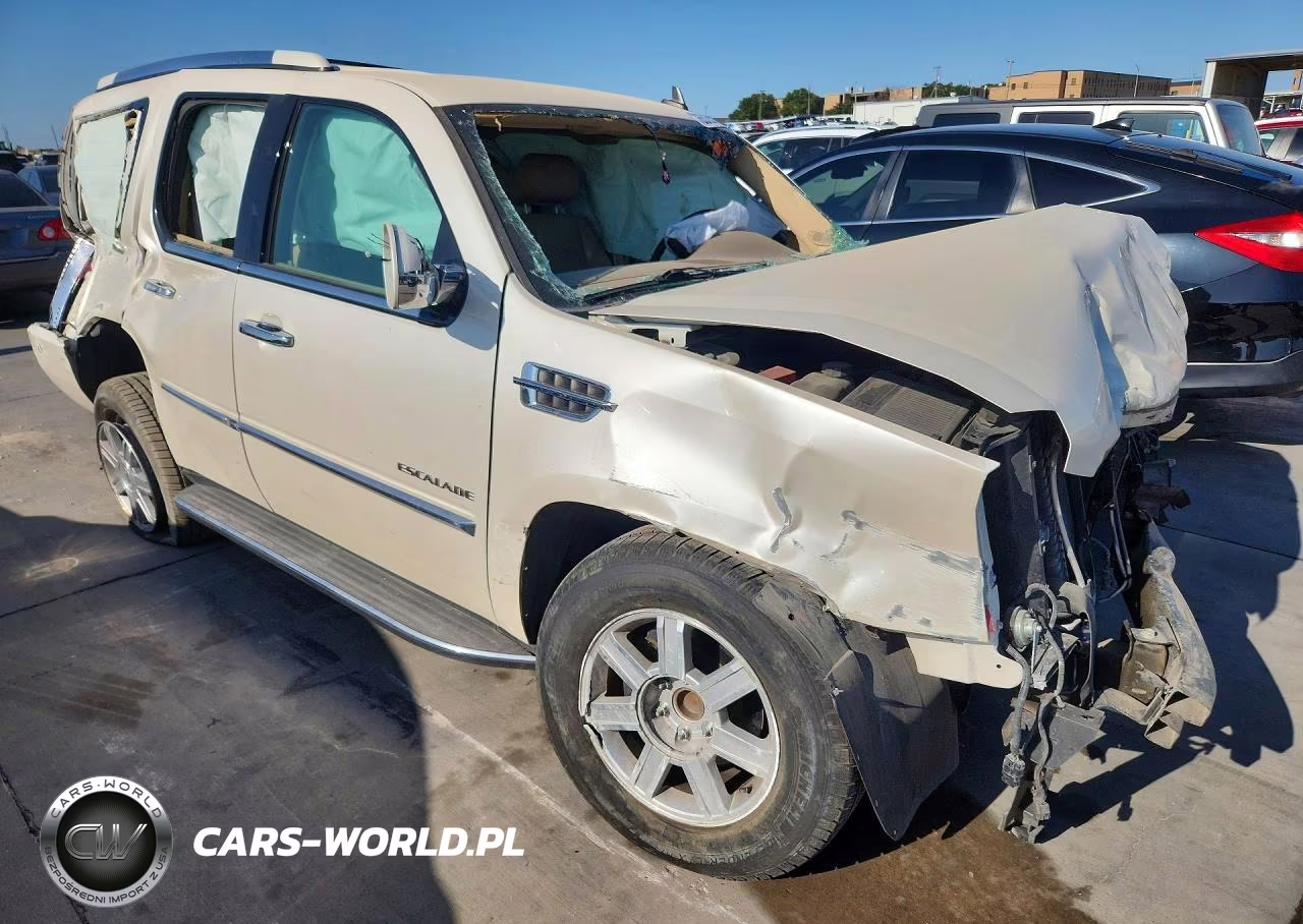 2010 Cadillac Escalade VIN:1GYUCAEFXAR145453 - 4