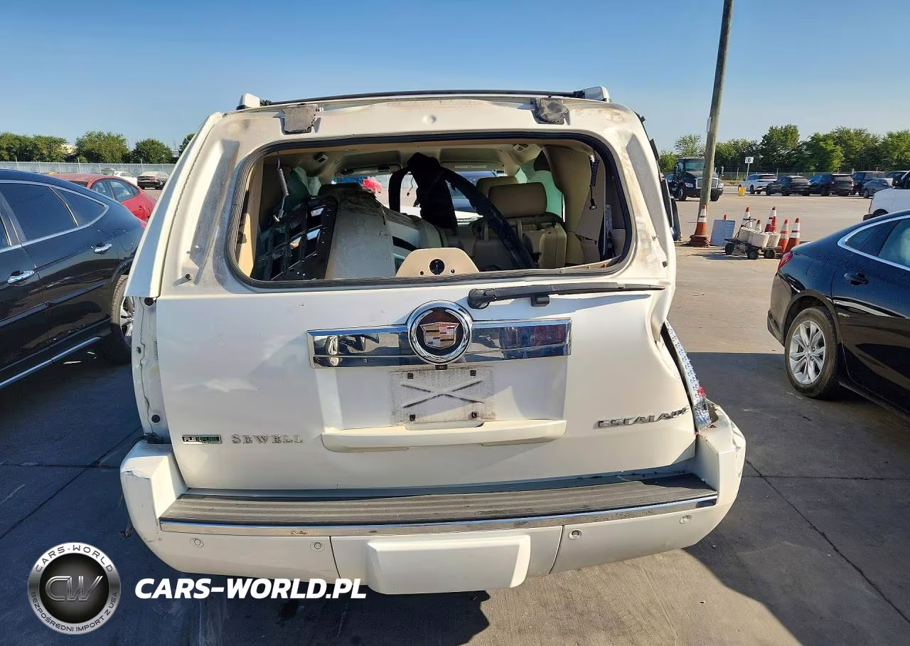 2010 Cadillac Escalade VIN:1GYUCAEFXAR145453 - 6