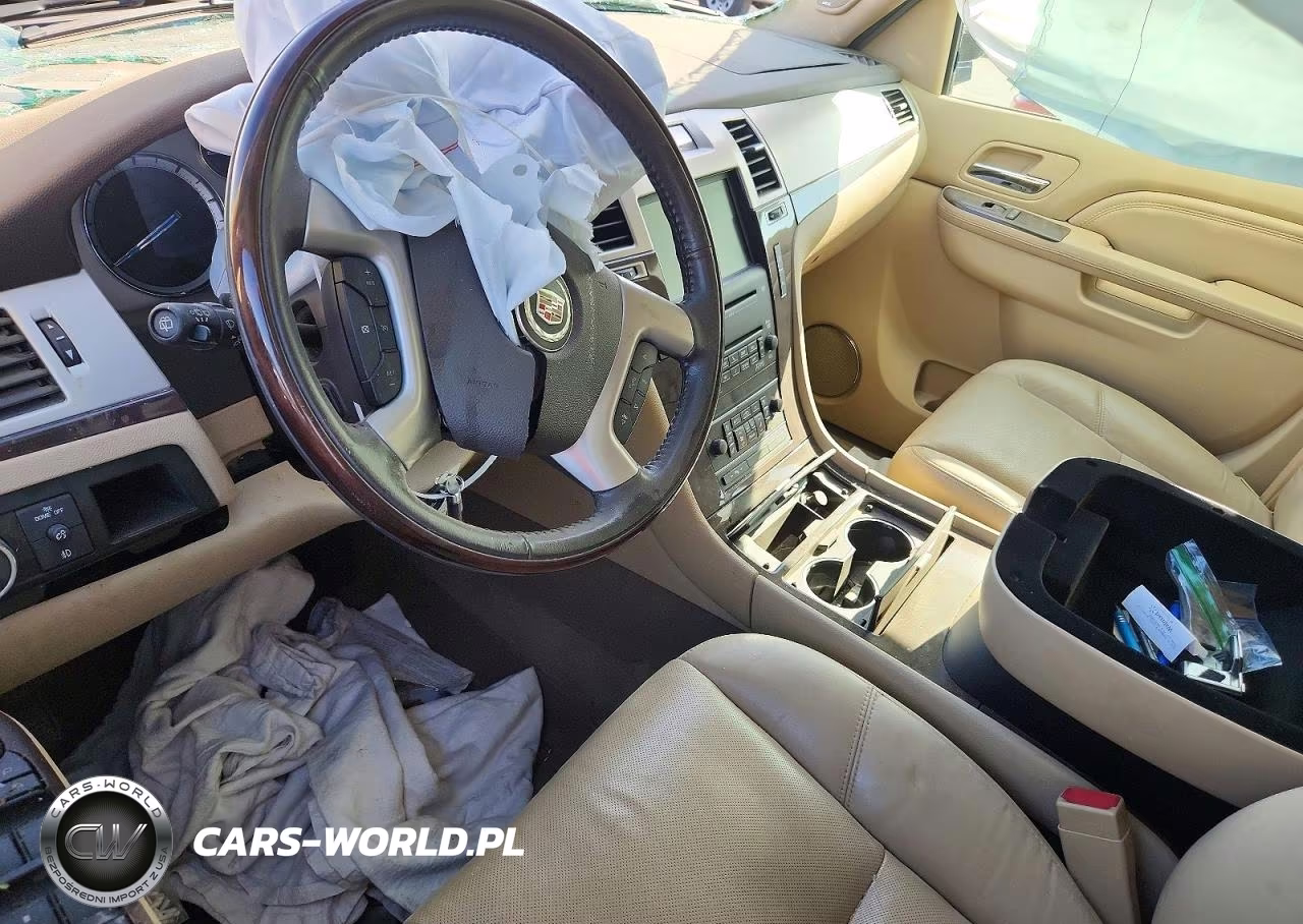 2010 Cadillac Escalade VIN:1GYUCAEFXAR145453 - 8
