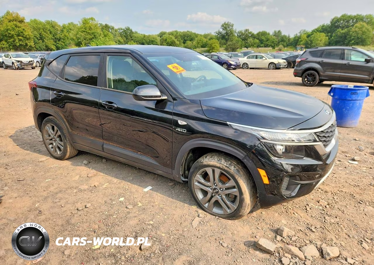 2021 Kia Seltos Lx VIN:KNDEPCAA9M7063296 - 4