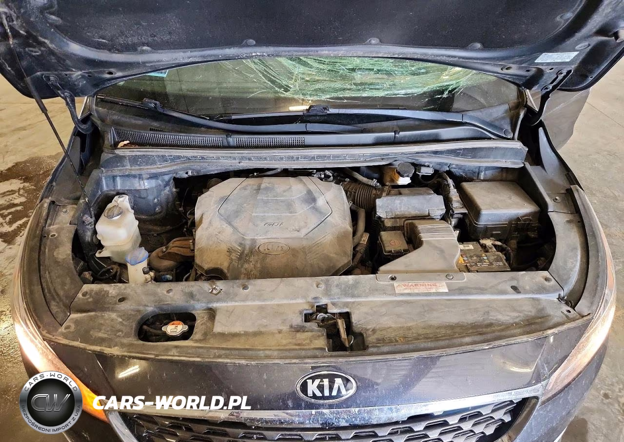 2019 Kia Sedona Ex VIN:KNDMB5C14K6509473 - 12