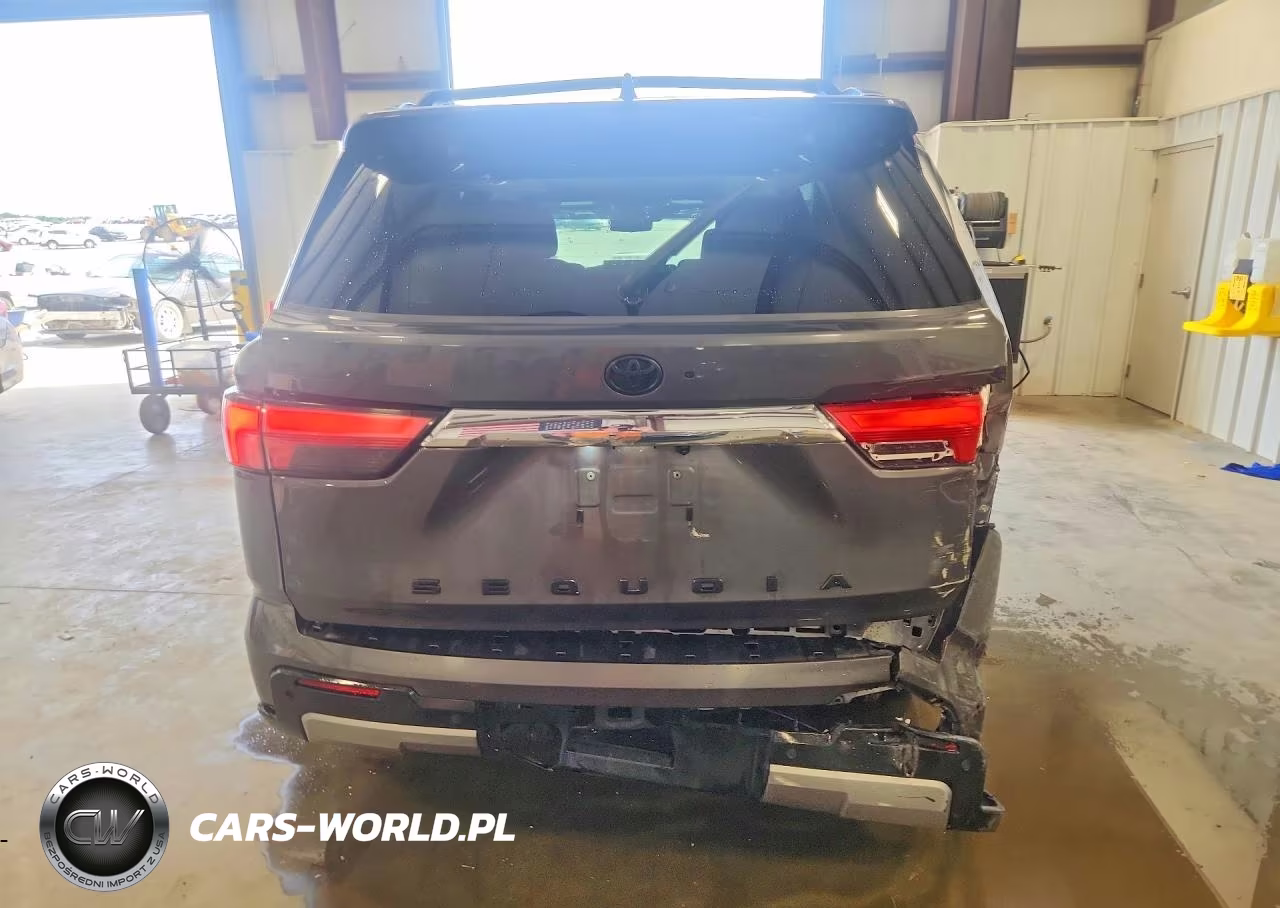 2024 Toyota Sequoia Limited VIN:7SVAAABA3RX044324 - 6