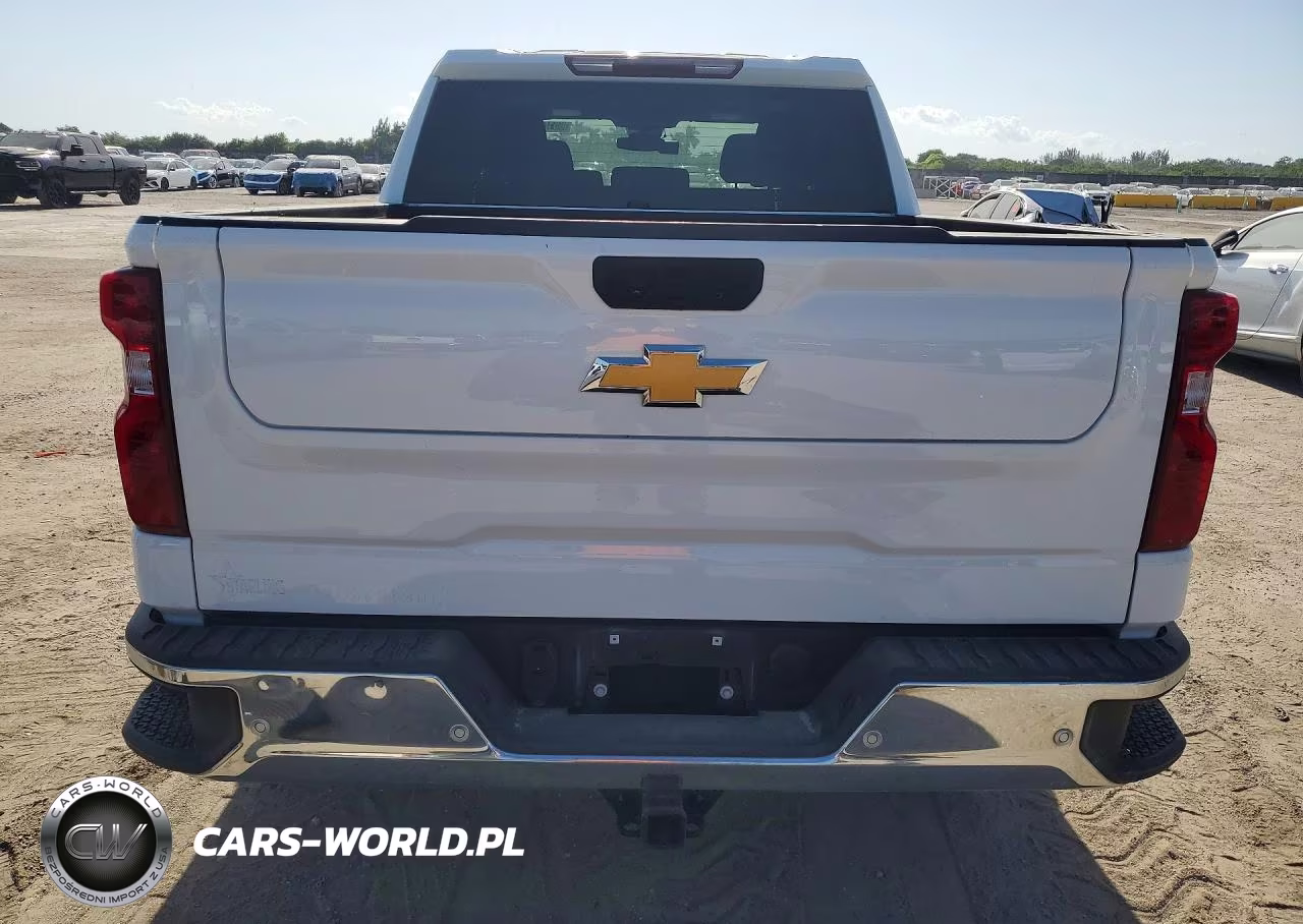 2024 Chevrolet Silverado K1500 VIN:1GCPDAEK1RZ240217 - 6