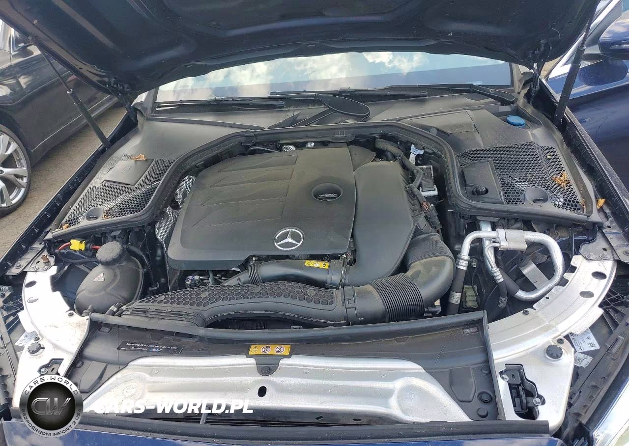 2019 Mercedes-Benz C 300 4Matic VIN:55SWF8EB0KU290146 - 11
