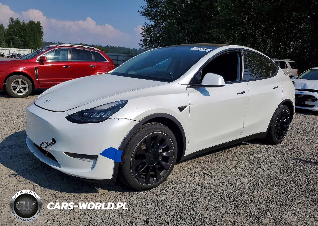 2020 Tesla Model Y