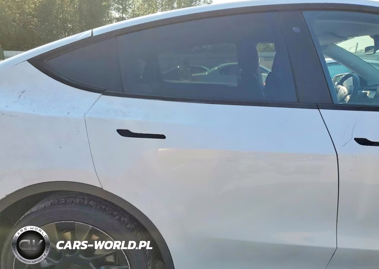 2020 Tesla Model Y VIN:5YJYGDEE9LF029691 - 11